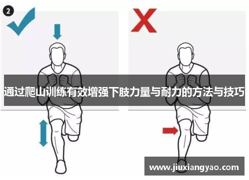 通过爬山训练有效增强下肢力量与耐力的方法与技巧