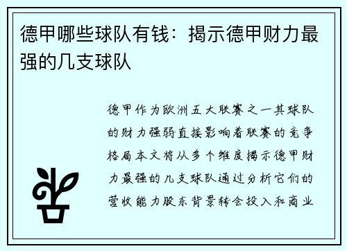德甲哪些球队有钱：揭示德甲财力最强的几支球队