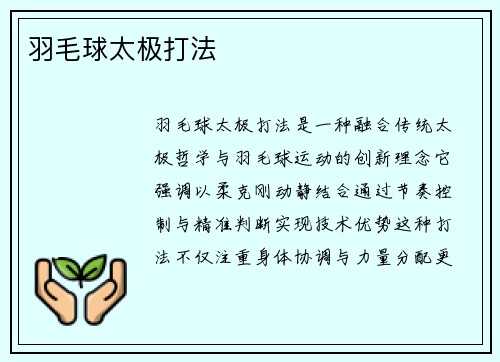 羽毛球太极打法